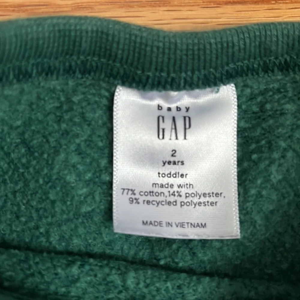 Baby Gap T Rex Dinosaur Crew Neck Sweatshirt Spike Sleeves